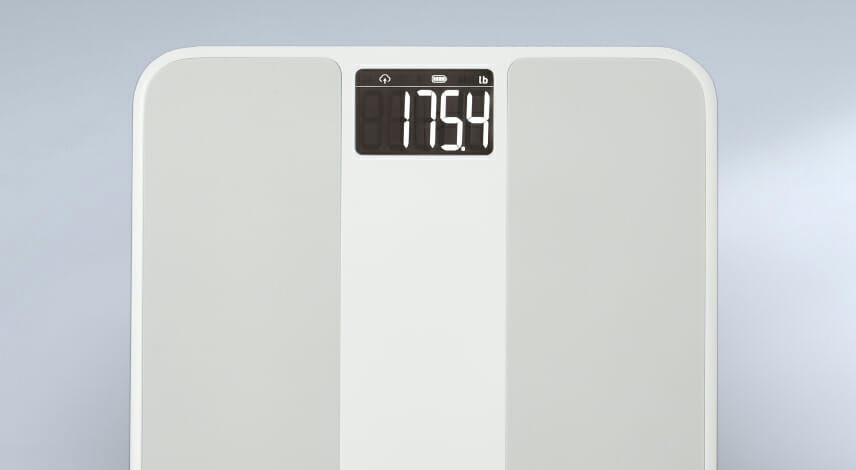 Smart Meter iScale Plus